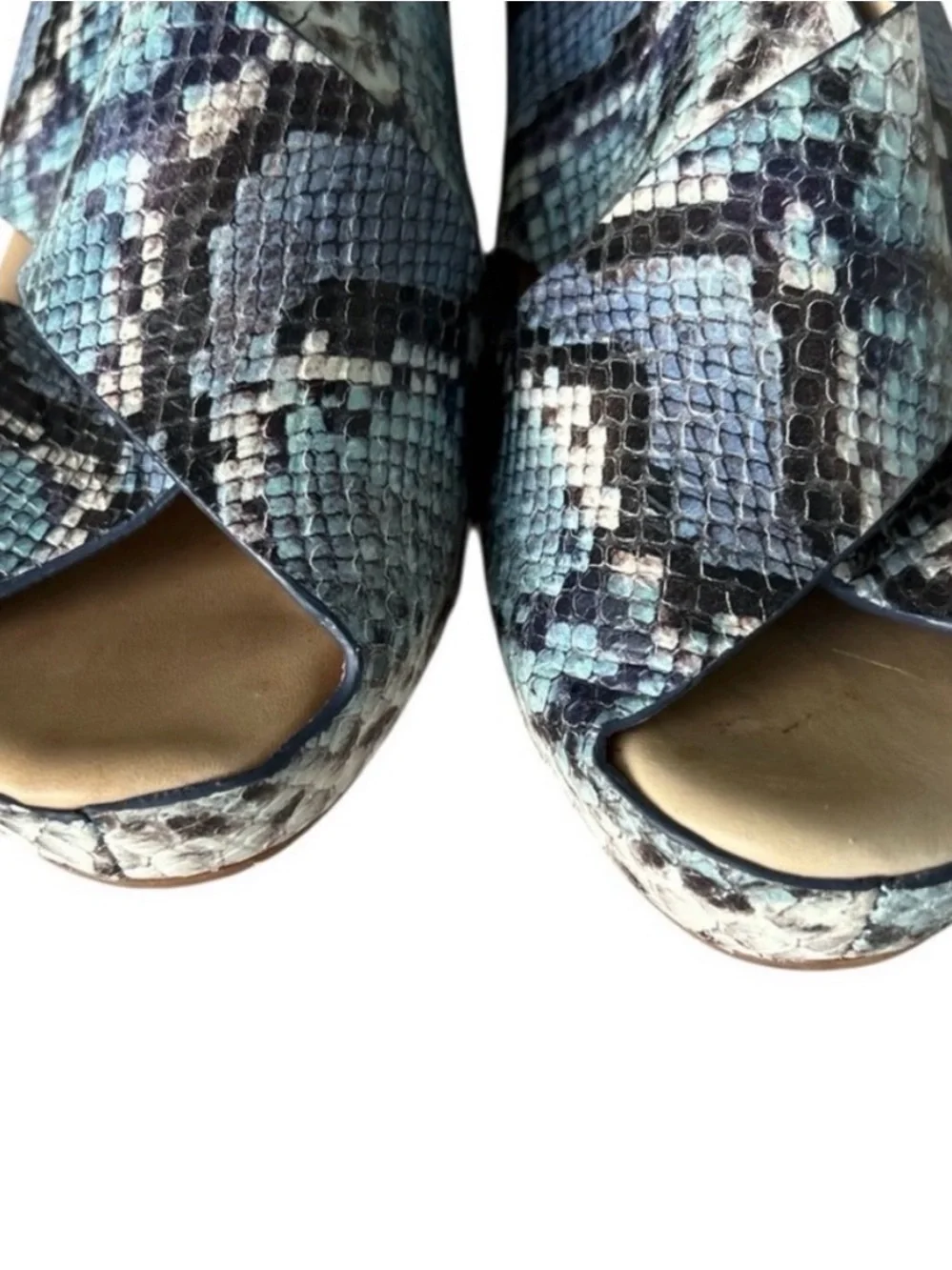 Johnston & Murphy Tori Wedge Sandals in Blue and Black Snake-Print